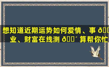 想知道近期运势如何爱情、事 🐵 业、财富在线测 🐴 算帮你忙！